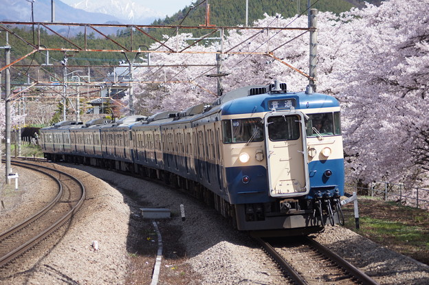 山スカ１１５系 桜 勝沼ぶどう郷 4 15 写真共有サイト フォト蔵