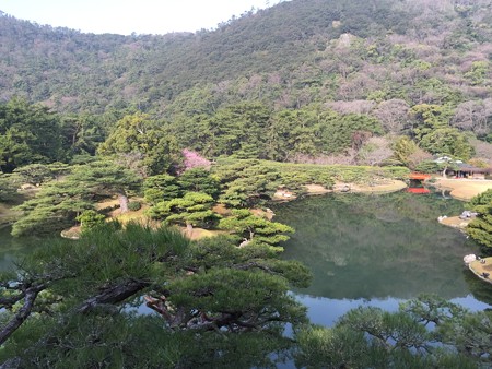 20150326栗林公園(1)