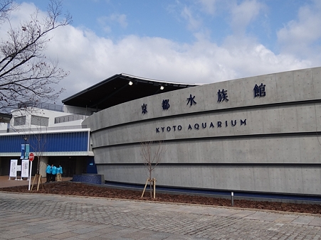 DSC03907_R