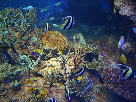 DSC03955_R