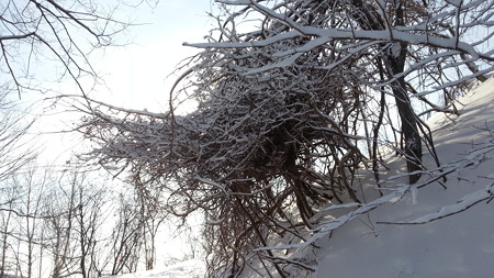 20150308_080909