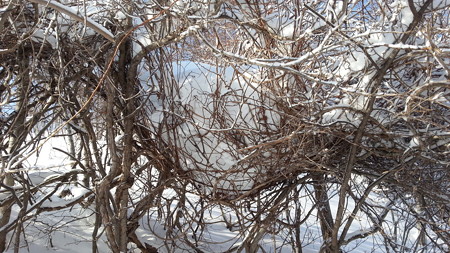 20150308_080925