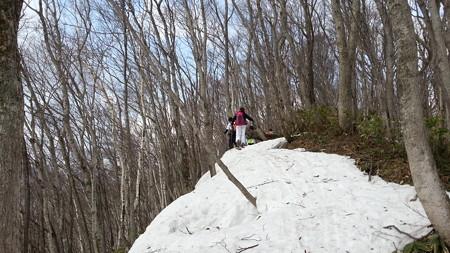20150404_082456