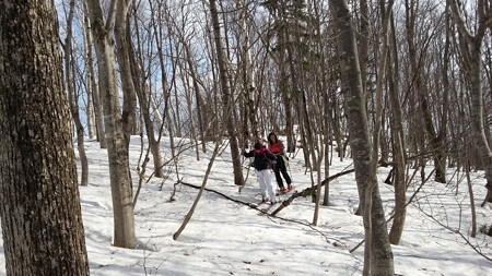 20150404_085220