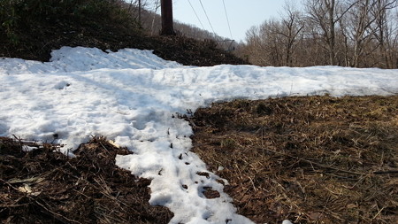 20150418_090350