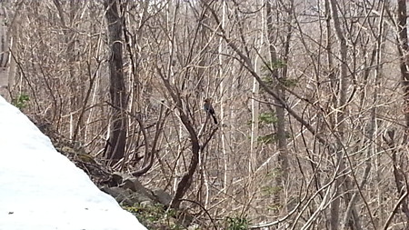 20150418_093133