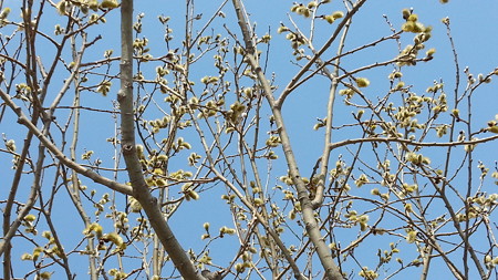 20150418_100048