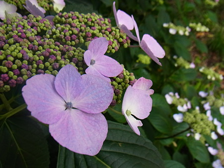 R0014643