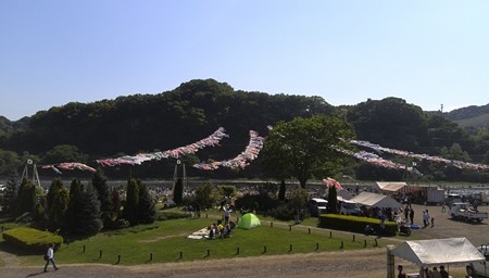 相模川いっぱいの鯉のぼり