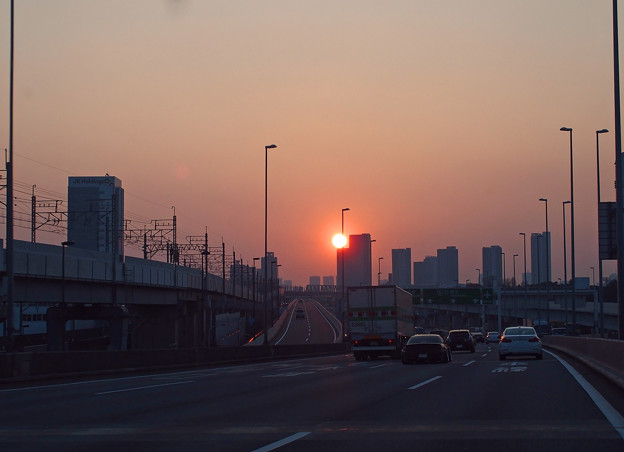 zP3140035 写真: zP3140035