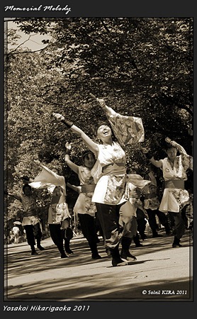 桜華_16 - よさこい祭りin光が丘公園2011