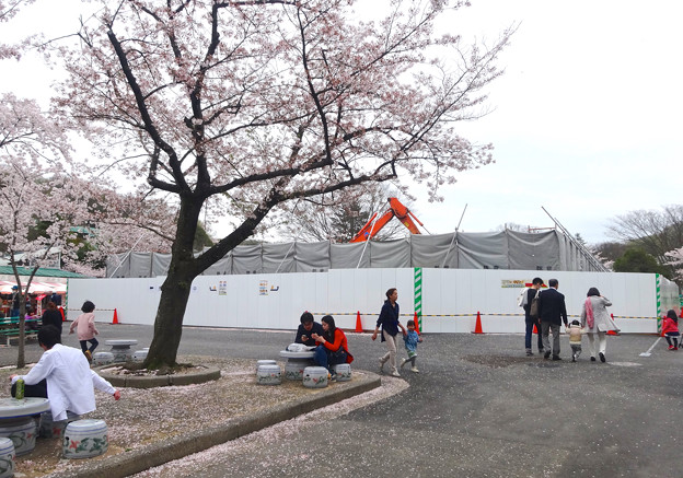 春の東山動植物園 No - 043:休憩所があった辺りが工事中(2015/4/4)