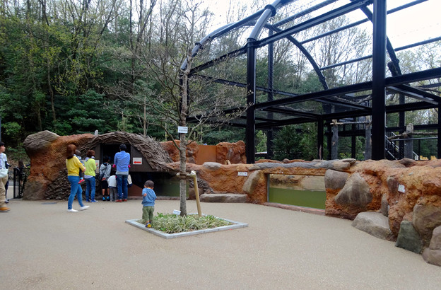 春の東山動植物園 No - 167:新しいビーバー舎とハクトウワシ舎
