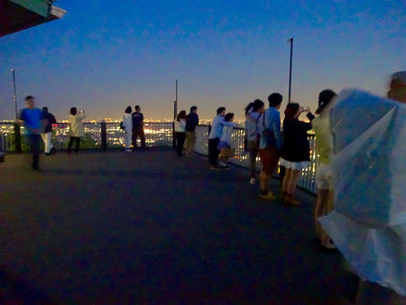 岐阜公園:展望レストランの展望台から見た夜景 - 27
