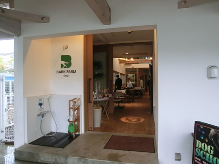 CIMG2156