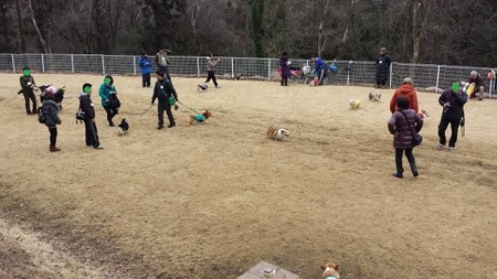 20150222_090809