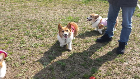 20150322_094706