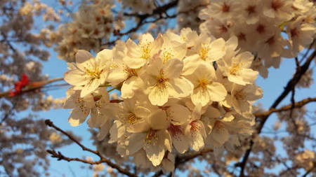 20150331_171411