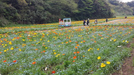 20150419_111304