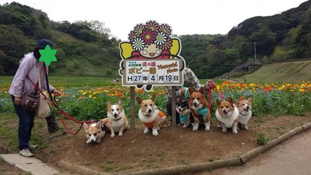 20150419_112723
