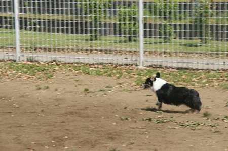 DSC04830