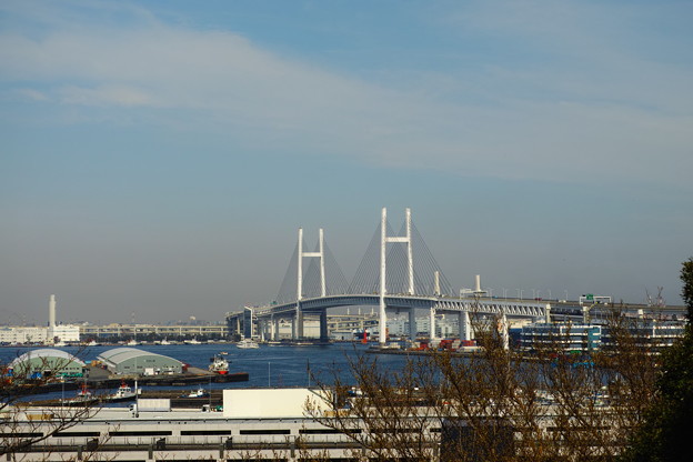 _SDI6212