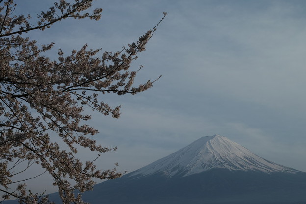 SDIM0054