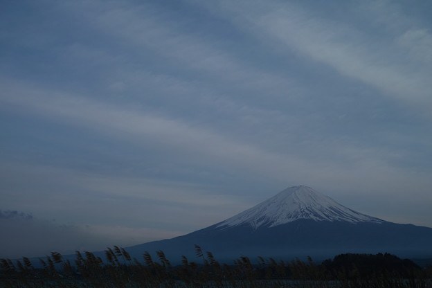 SDIM0057