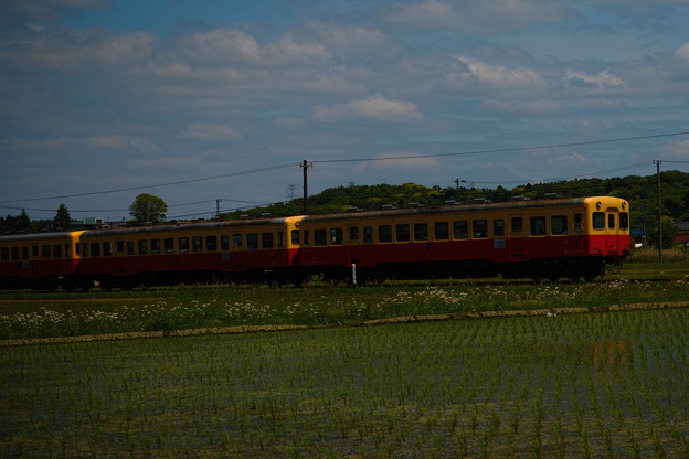 _SDI0084