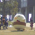 バリィさん今からかけっこし...