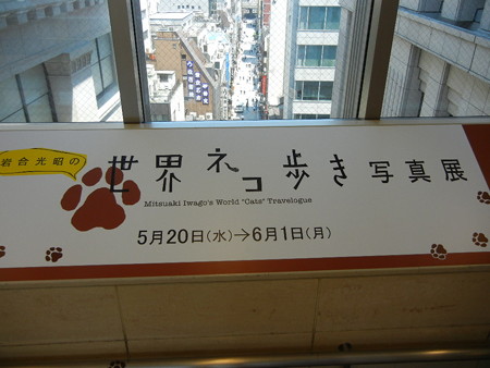 岩合光昭の世界ネコ歩き 写真展