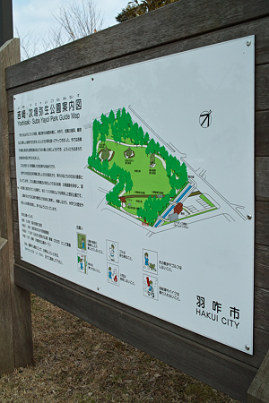 Yayoi_Park03042012dp2-11