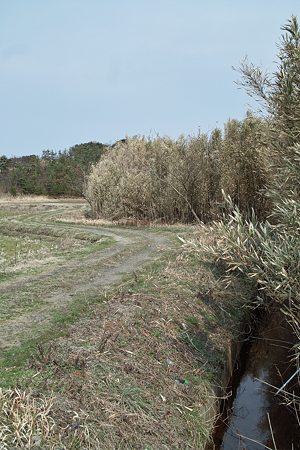 path03112012dp2-02