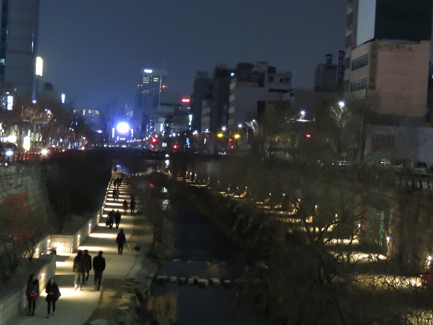 resize2493 写真: resize2493