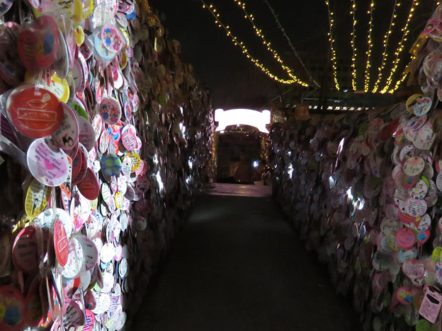 resize2516 写真: resize2516