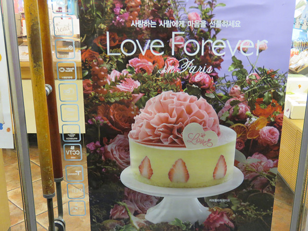 resize2548 写真: resize2548