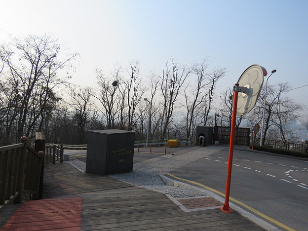 resize2595 写真: resize2595