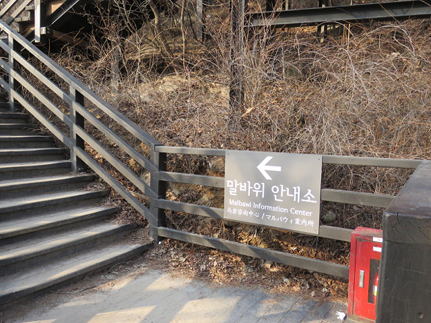resize2608 写真: resize2608