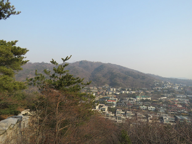 resize2611 写真: resize2611