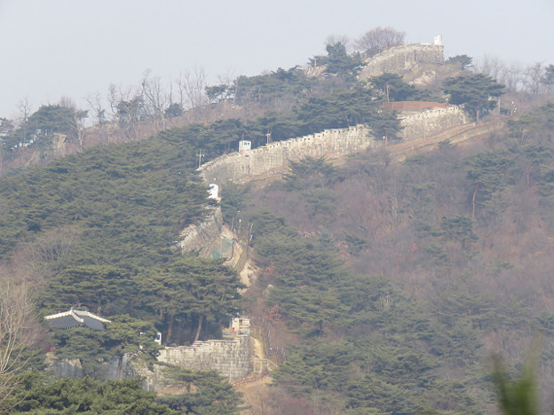 resize2618 写真: resize2618