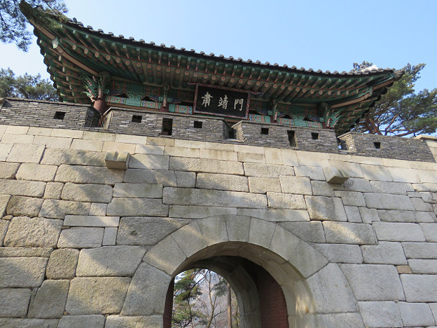 resize2626 写真: resize2626