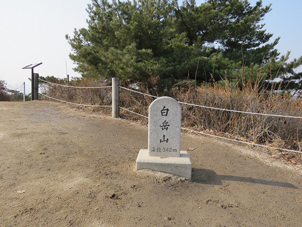 resize2642 写真: resize2642