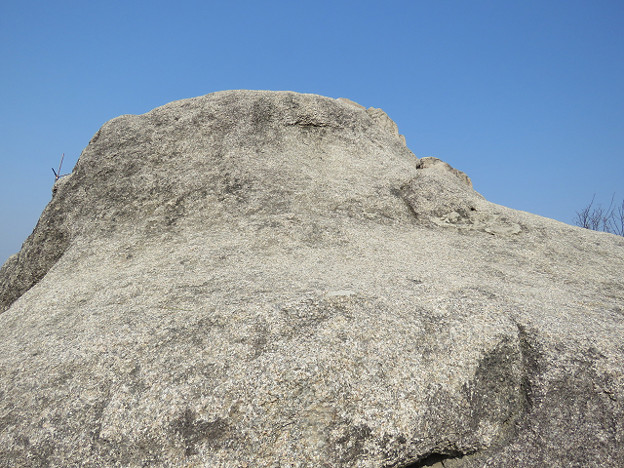 resize2644 写真: resize2644
