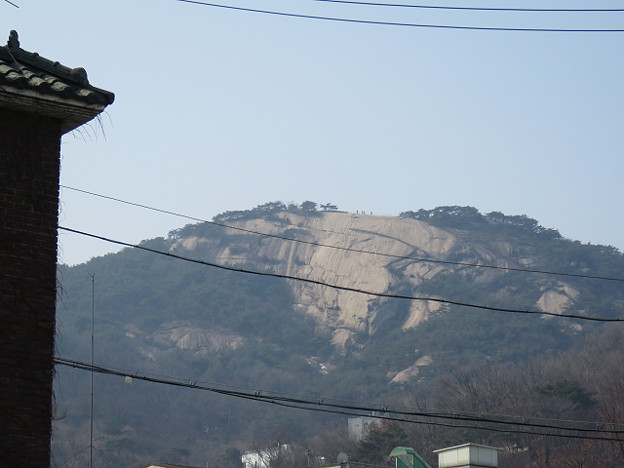 resize2676 写真: resize2676