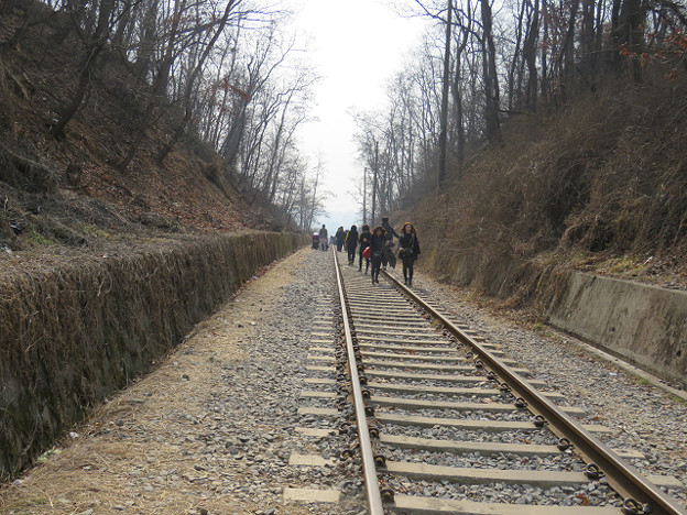 resize2750 写真: resize2750