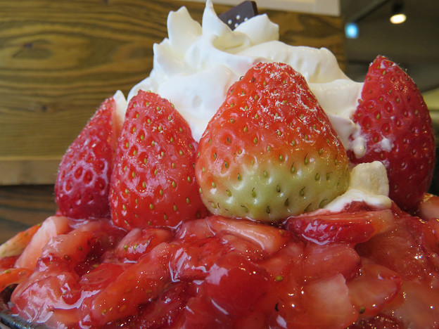 resize2788 写真: resize2788