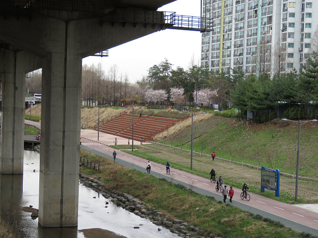 resize2849 写真: resize2849