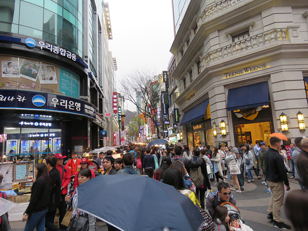 resize2885 写真: resize2885