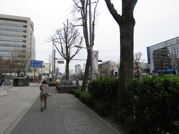 resize2976 写真: resize2976
