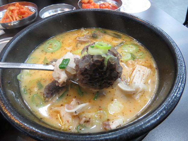 resize2981 写真: resize2981